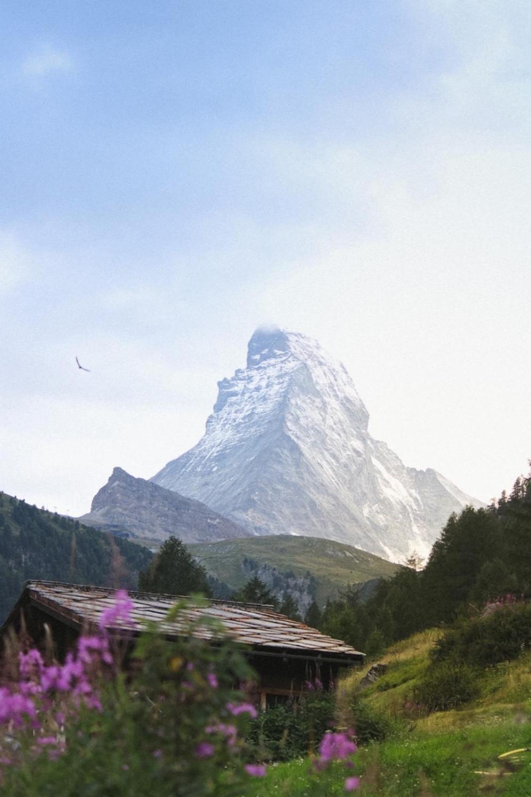 Studio Wolli - Stylish & Central - Steps To Matterhorn Gondola 체르마트 외부 사진
